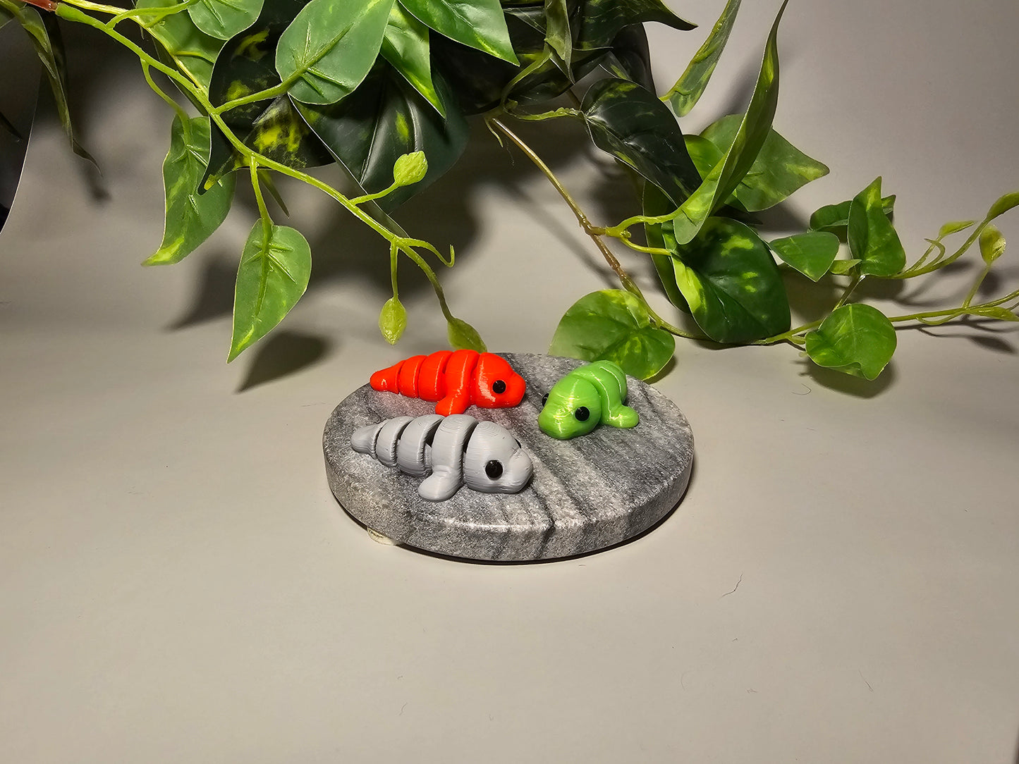 Manatee